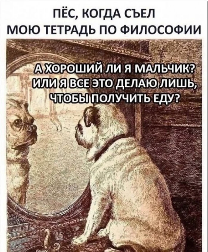 Подписывайтесь на Саваничи
