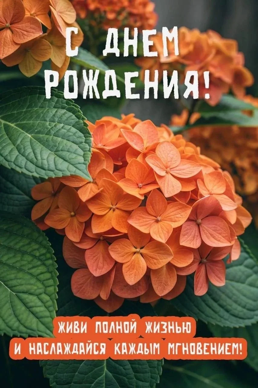 📝 Сегодня мы поздравляем с Днём рождения всех тех, кто родился в августе 🎉 
Родиться в августе — з