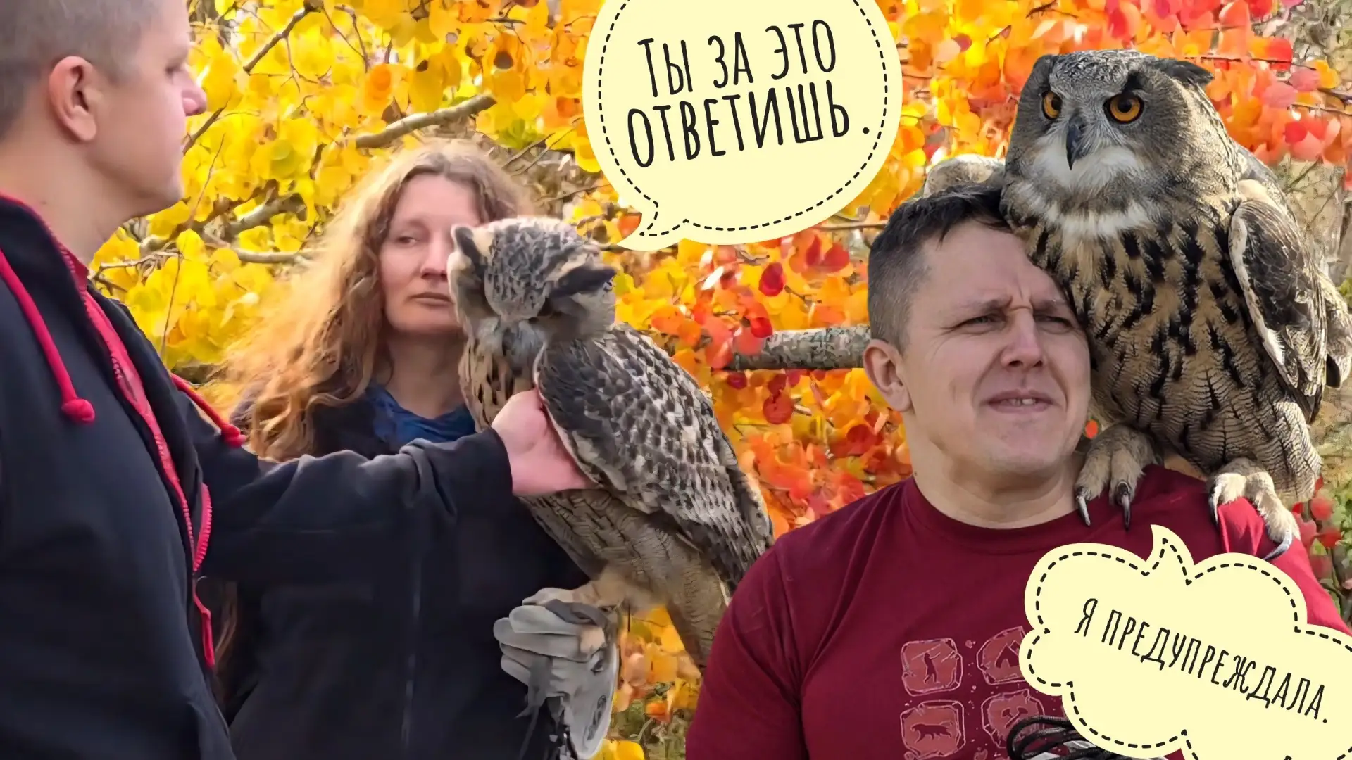 Сова Ёль делает всех красивее в целую сову раз! Пёс Кубик роет метро от скуки- вот к со...