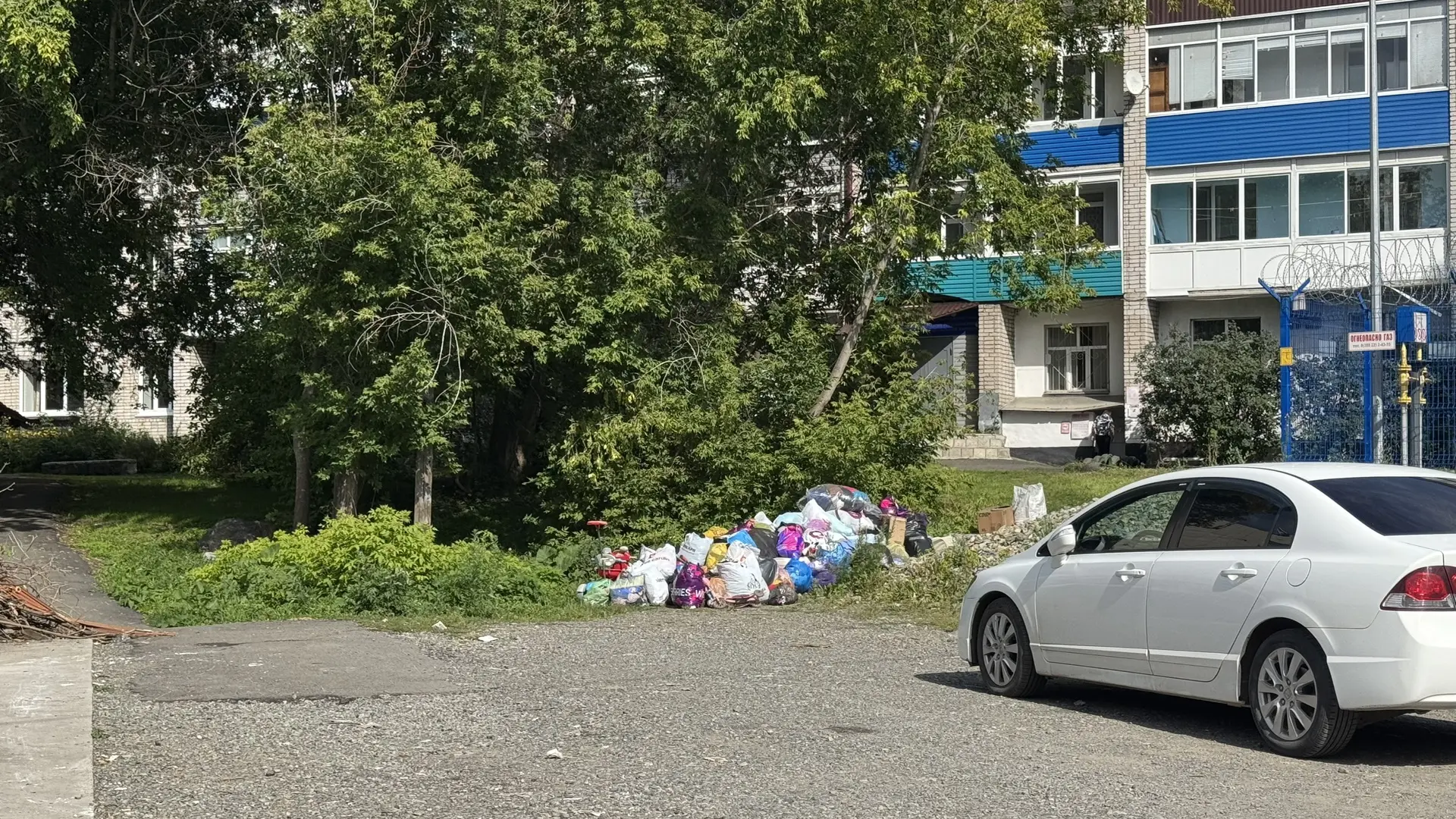Вот такие антисанитарийные дела на улицах Горно-Алтайска.
