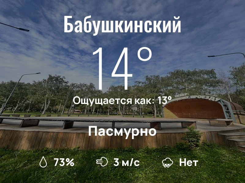 Что с погодой в Бабушкинском?