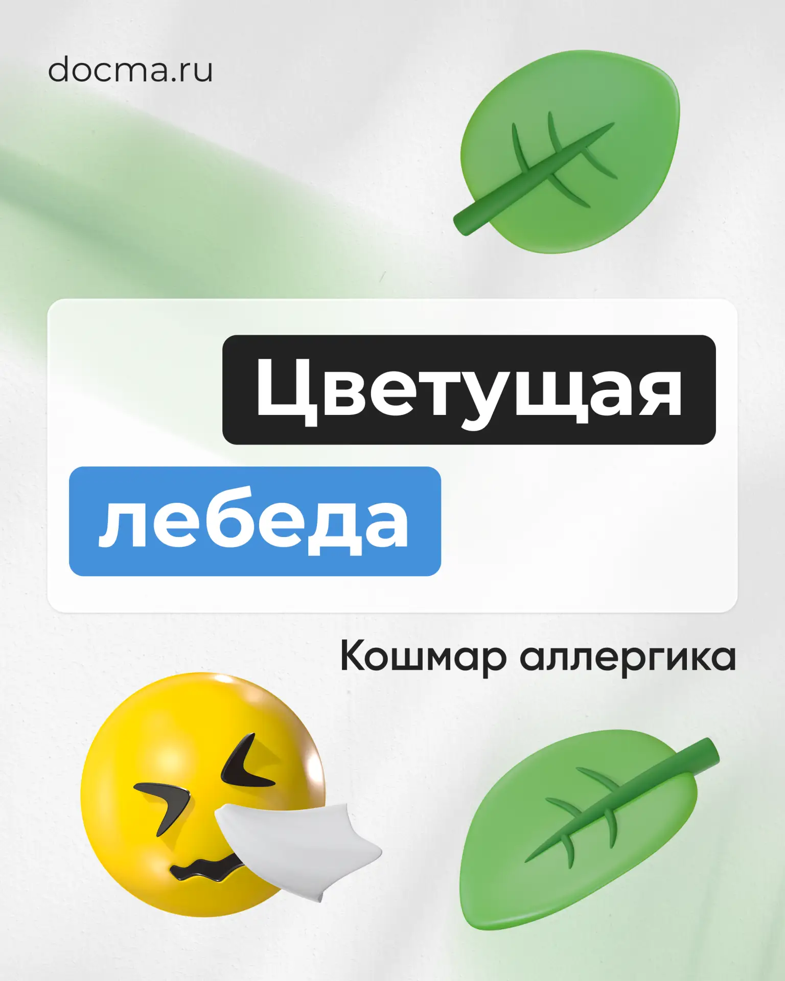 Аллергия на лебеду