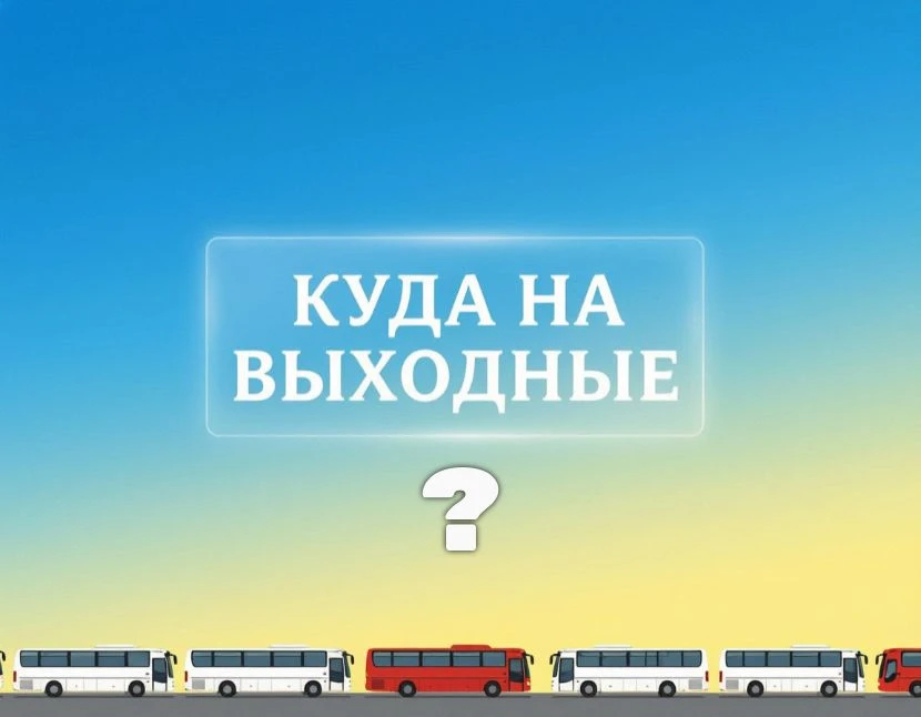 Есть два типа людей: одни спокойно сидят дома, а другие уже думают, как успеть везде, п...