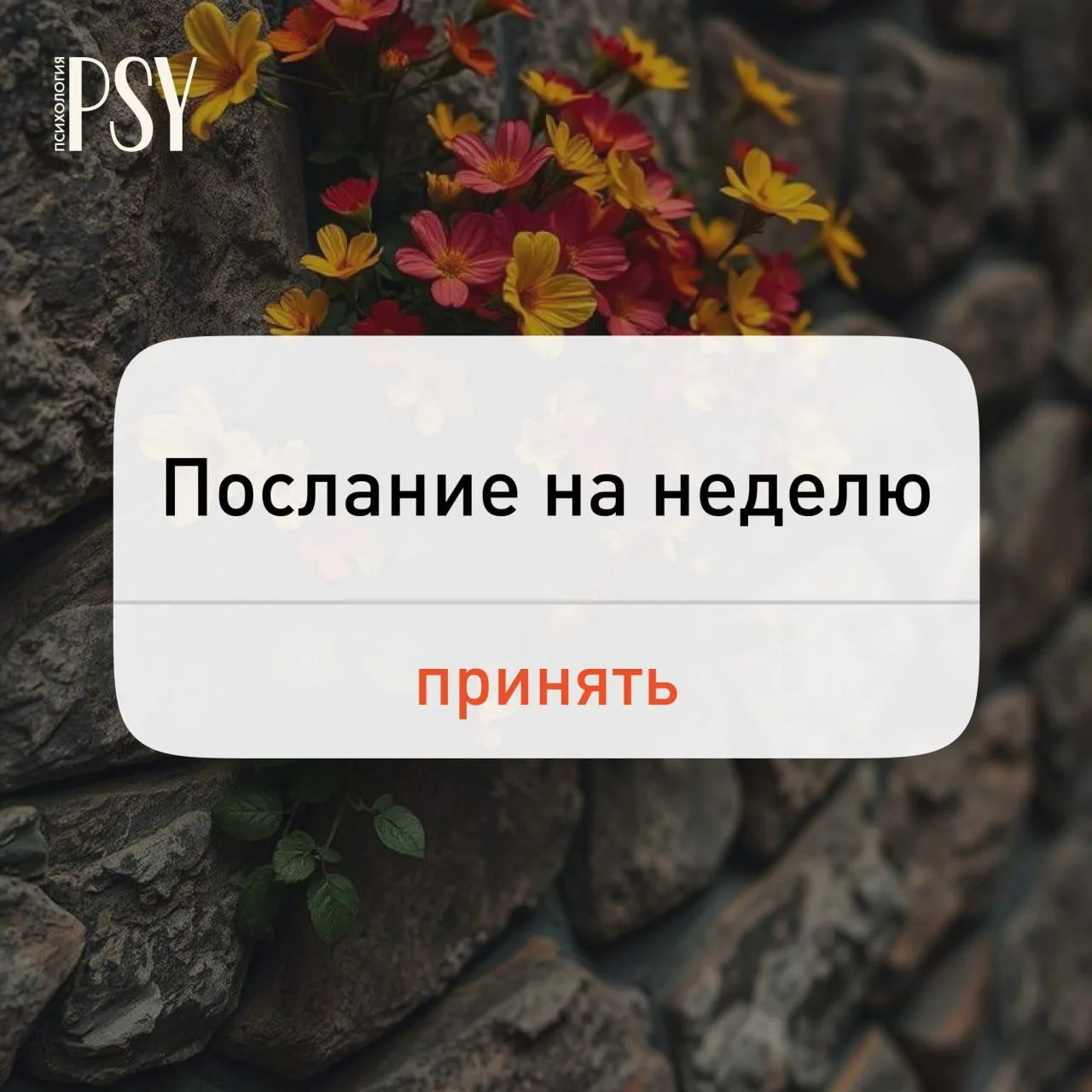 💌 Закройте глаза и выберите цифру от 1 до 5.

Ваше психо-послание на неделю:

1️⃣ Время действовать
