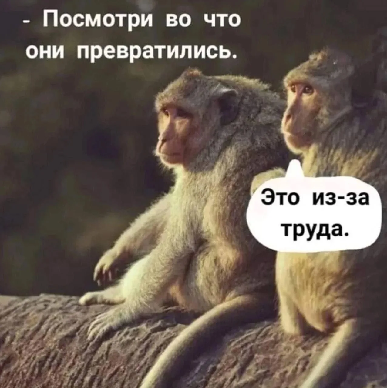 Доброе утро) Пора на работу 😄. Сегодня четверг, 17 сентября 🍁