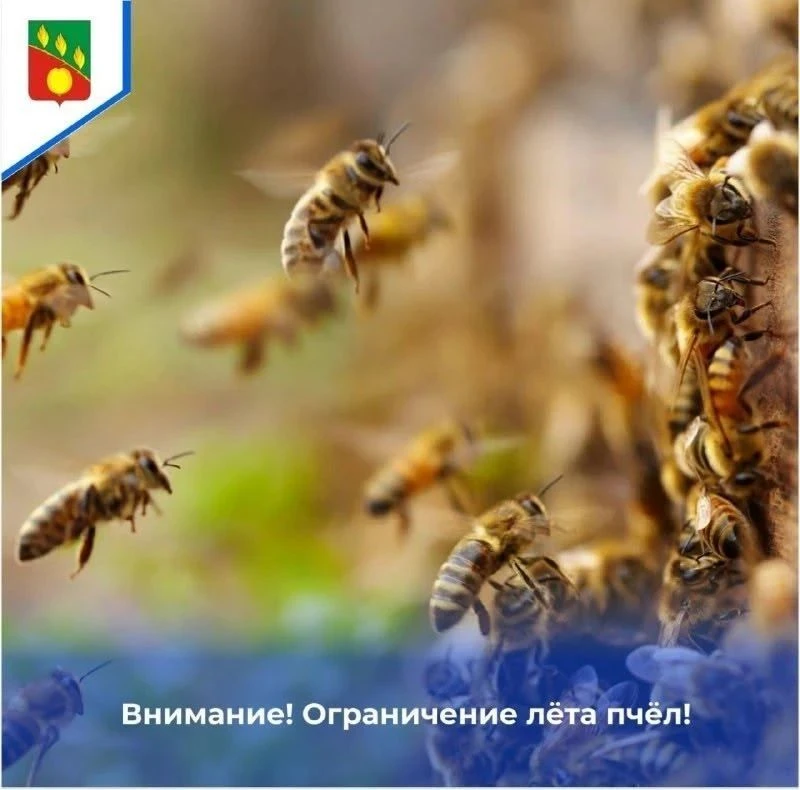 ООО «Рассвет» сообщает, что в период с 17.09.2026г. по 23.09.2026г. будет проводиться р...