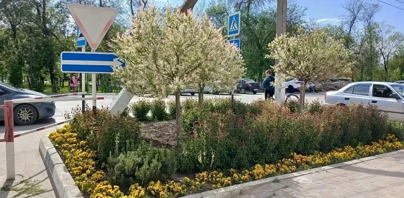 ✅Администрация Славянского района совместно с предпринимательским сообществом реализует проект по оз