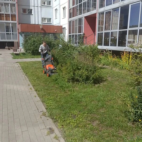 ✅Дайджест за неделю 10 - 16 августа. (Тулинка, Акварельный)
