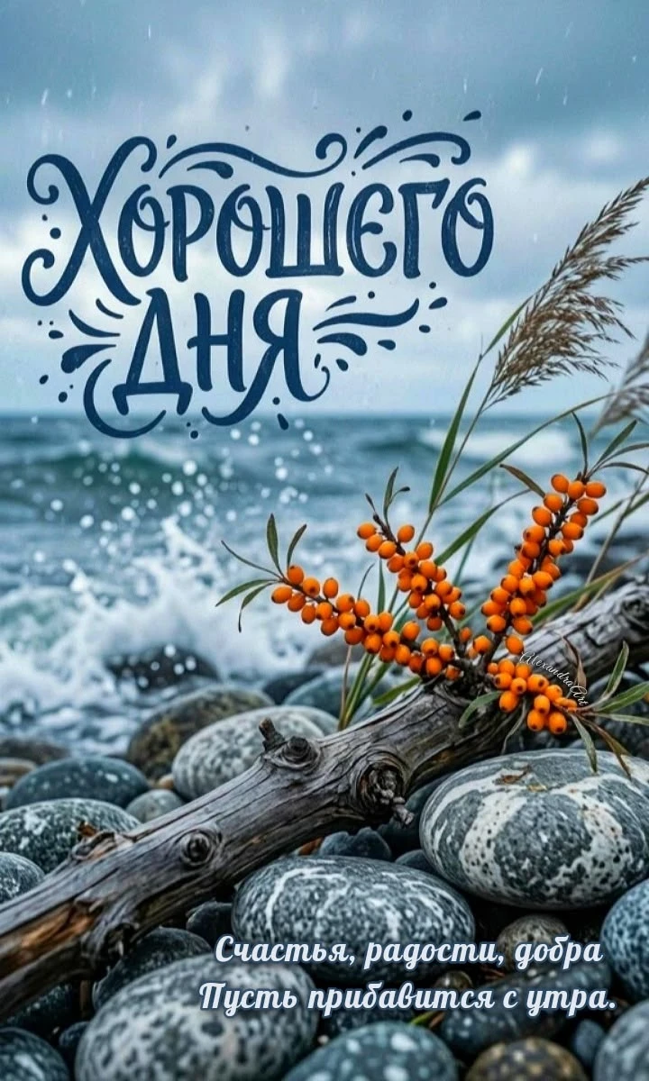 Подписаться