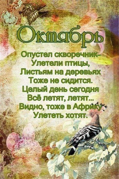 🍁ОКТЯБРЬ