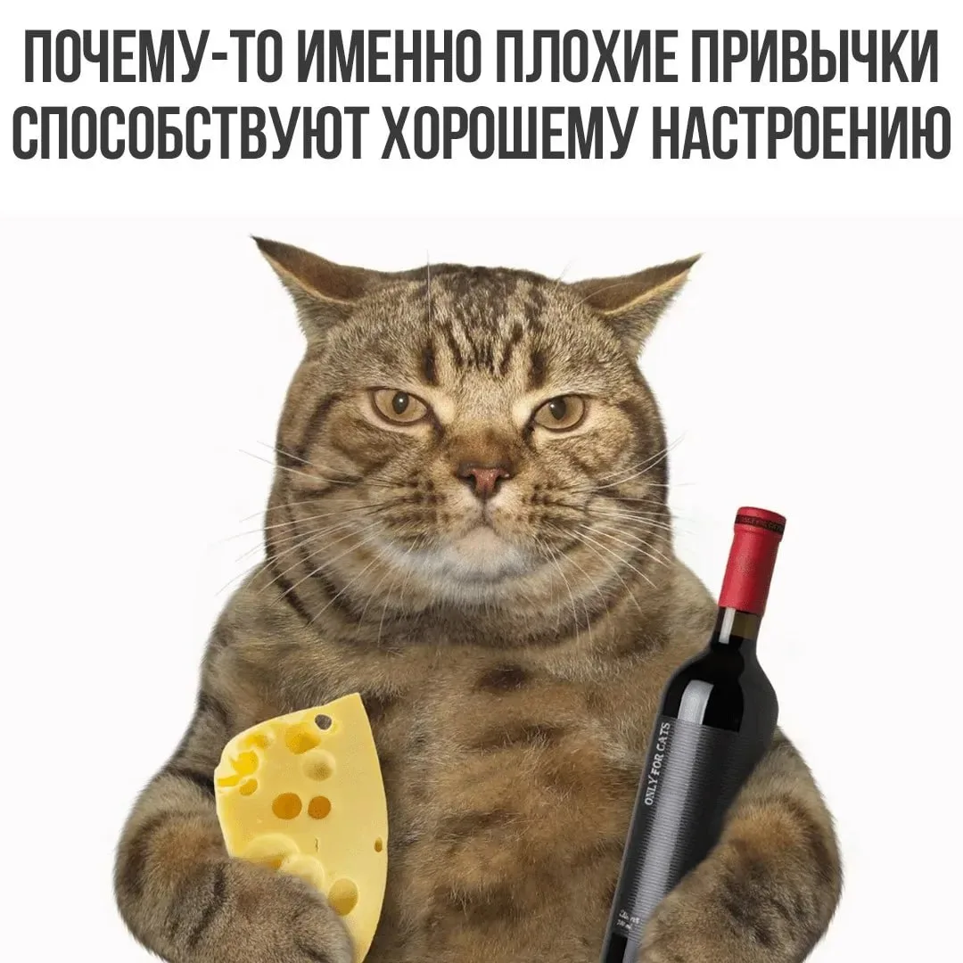 😄