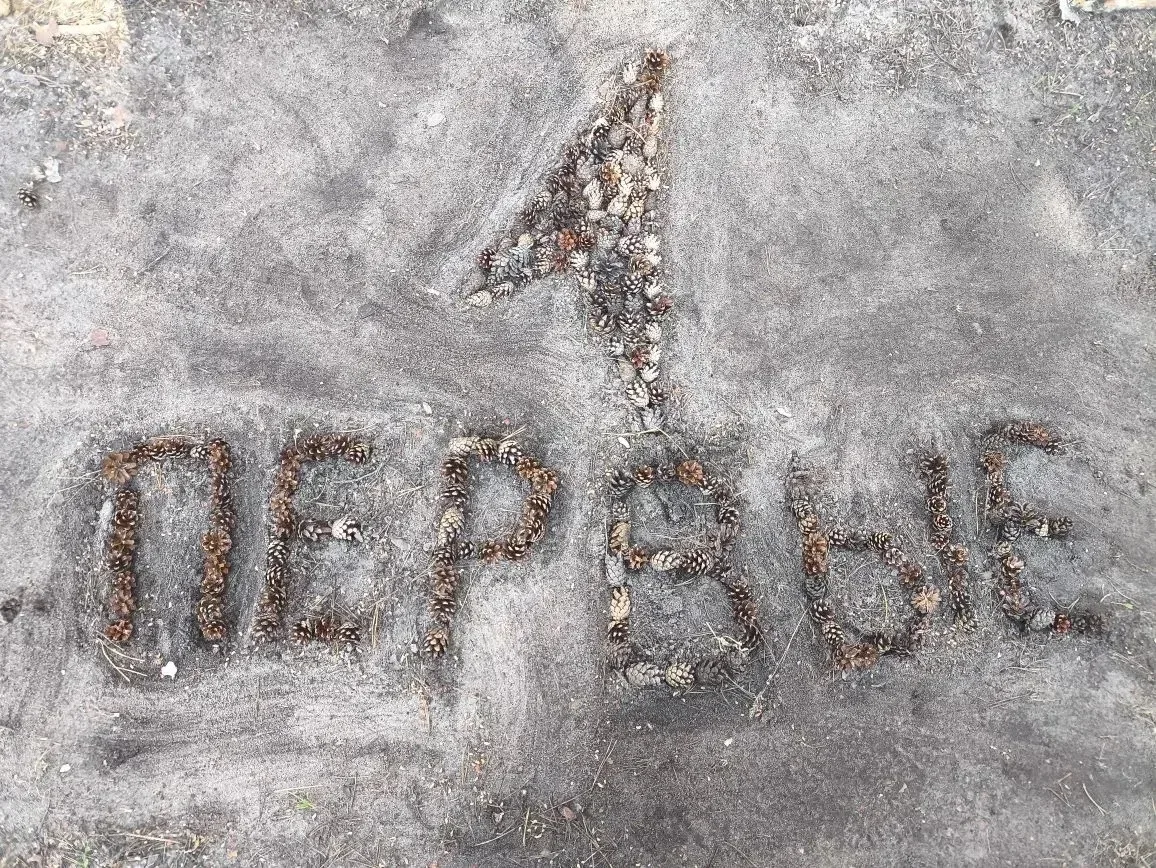 🌲 В нашем лагере прошёл конкурс эмблем из шишек на тему «Движение Первых»!
