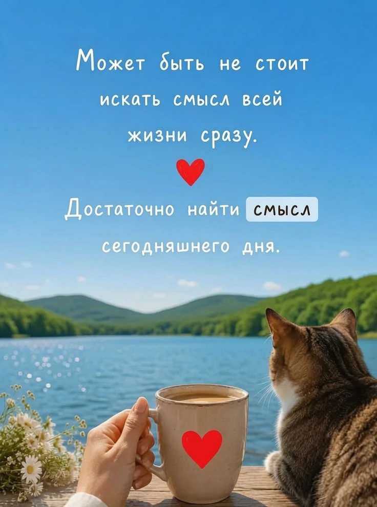#разное
Картинки на каждый день