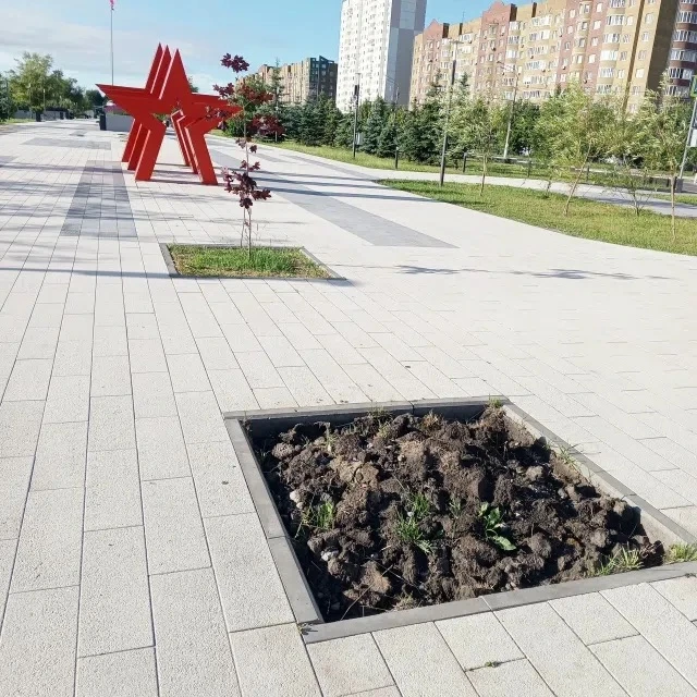 "Посадили и никакого ухода", - куряне раскритиковали содержание парка Патриот в Курске 
 
Горожане о