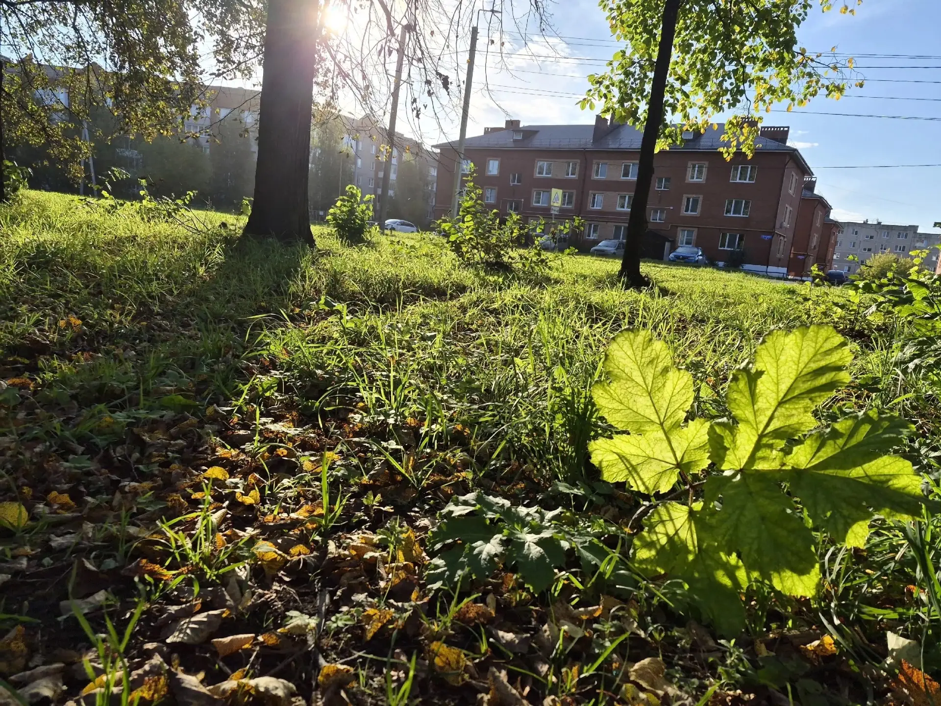 Доброе утро ☀️ Ну вот и бабье лето на пятки наступает! С завтрашнего дня до +20 градусо...