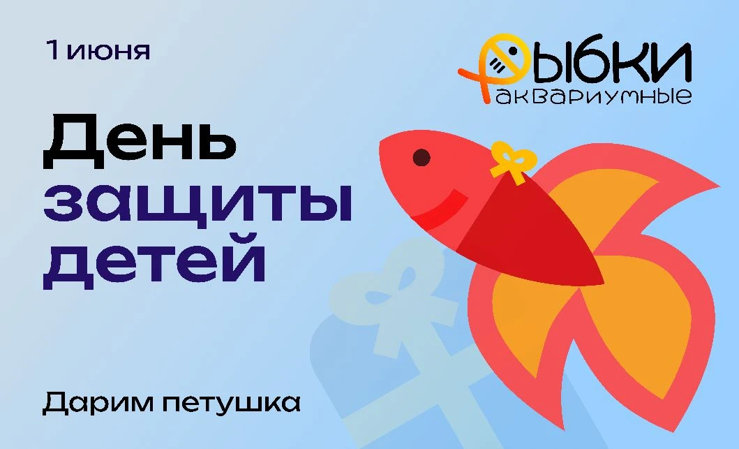 День защиты детей уже завтра!

В подарок детям — рыбка петушок. Вот это да! 😍

Только 1 июня. Рыбка