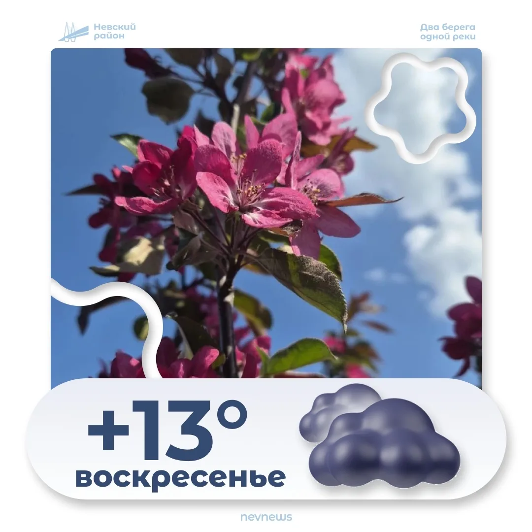 Сегодня, 31 мая, в Невском районе ожидается пасмурная погода. Днём температура составит +8…+13°, ноч