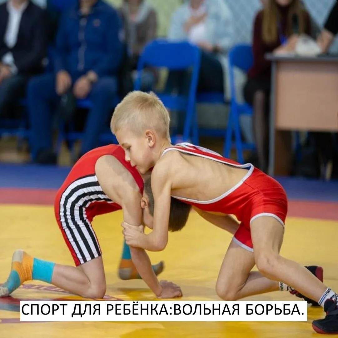 Спорт для ребенка: вольная борьба.