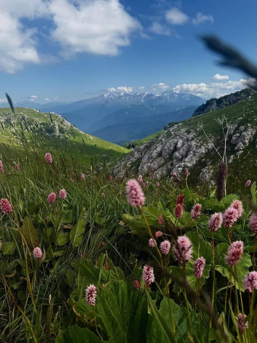 Гора Оштен - доступные вершины

⛰ Эта гора в Адыгее высотой 2804 метра привлекает несложными маршрут