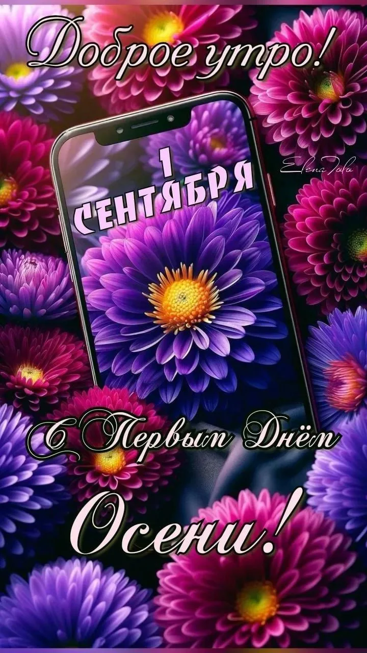 🌼 С добрым утром, СКОРПИОНЧИКИ!🦂