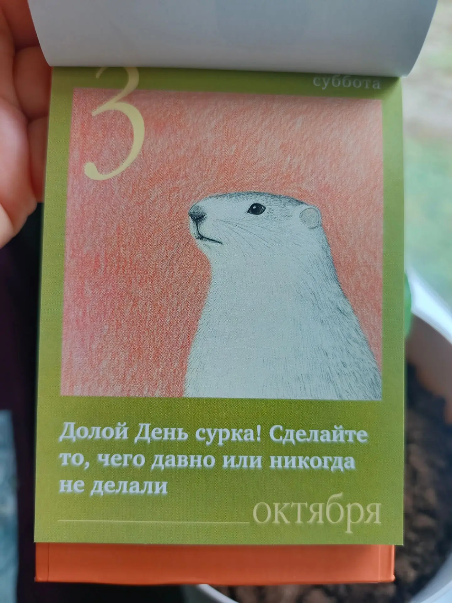 Прекрасной субботы 🙌