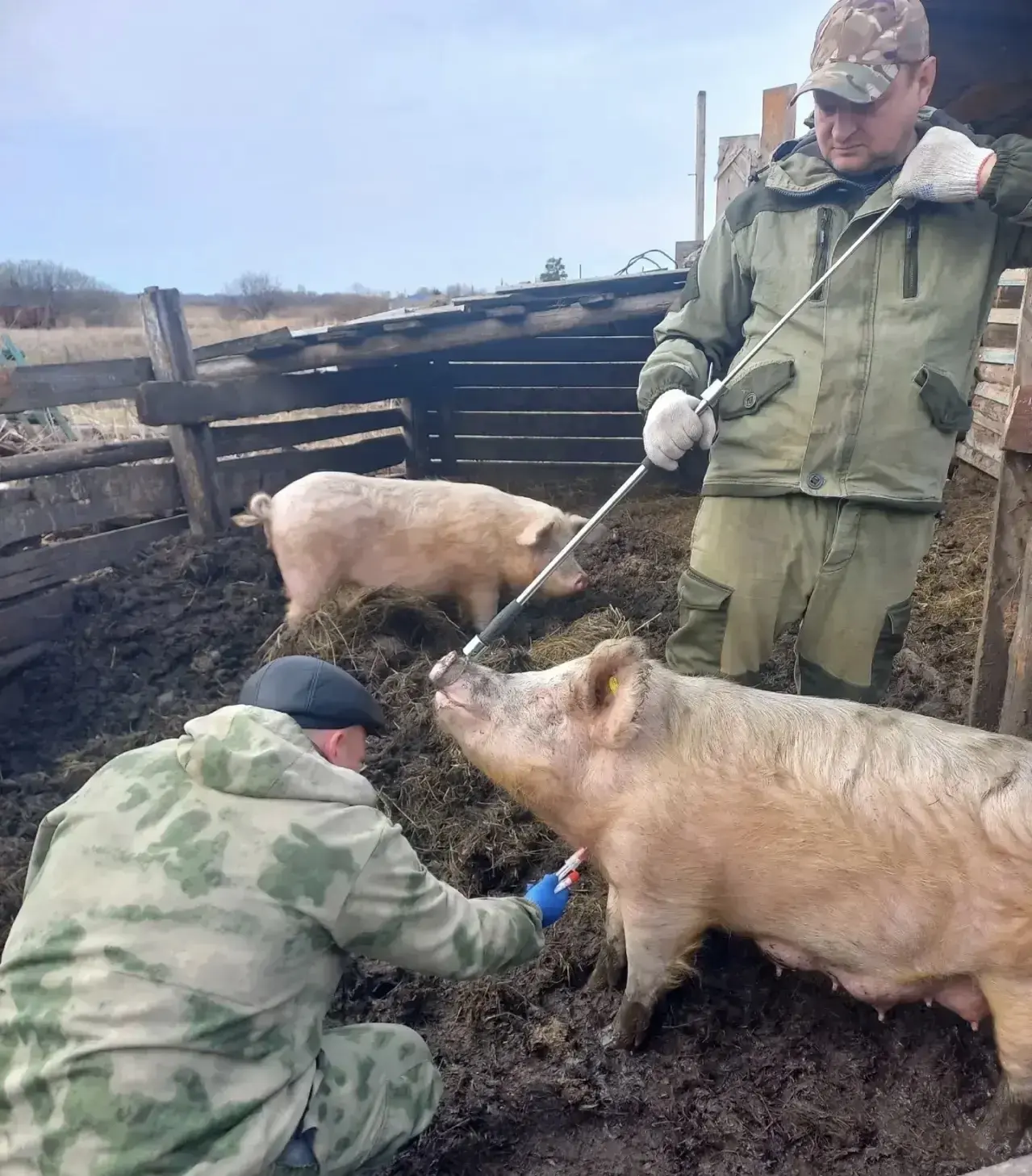 Работаем единой командой!