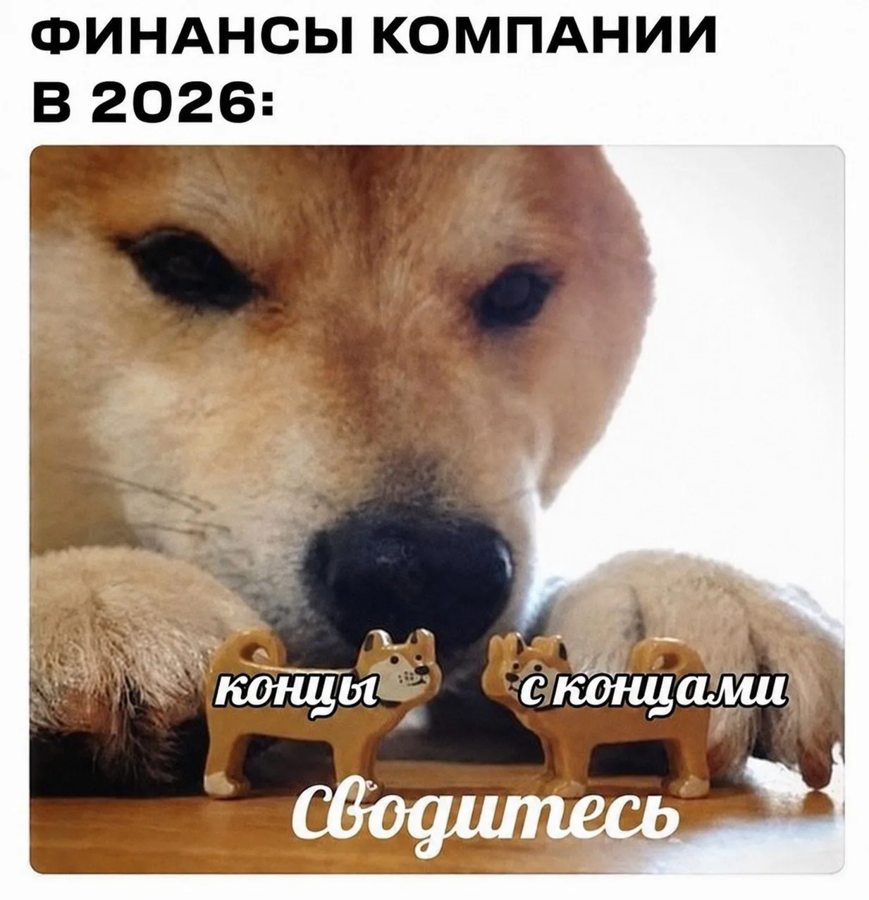 #ФД_юмор