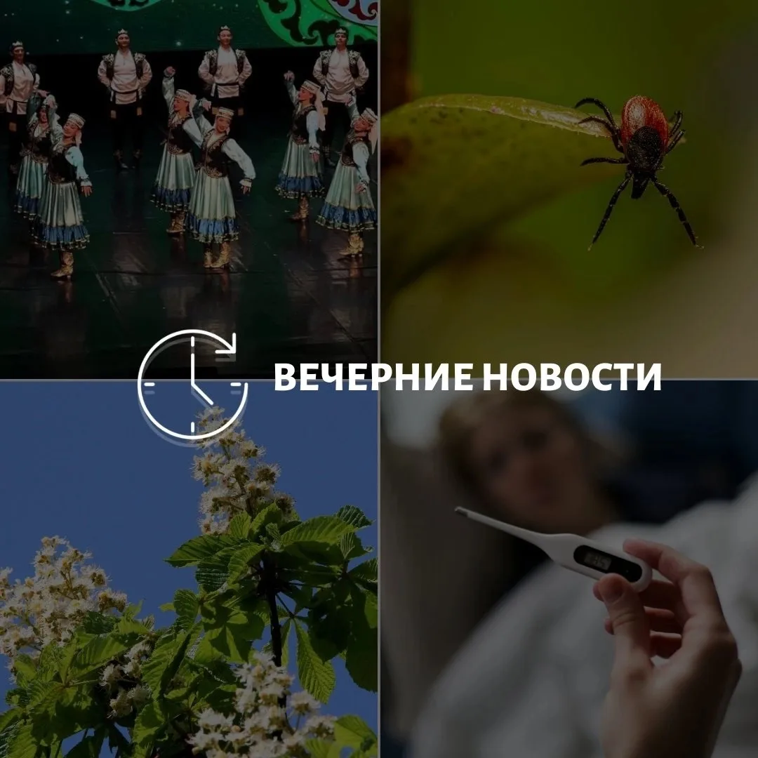 Главные новости в Донецке на этот час — что происходит в городе и республике:⠀