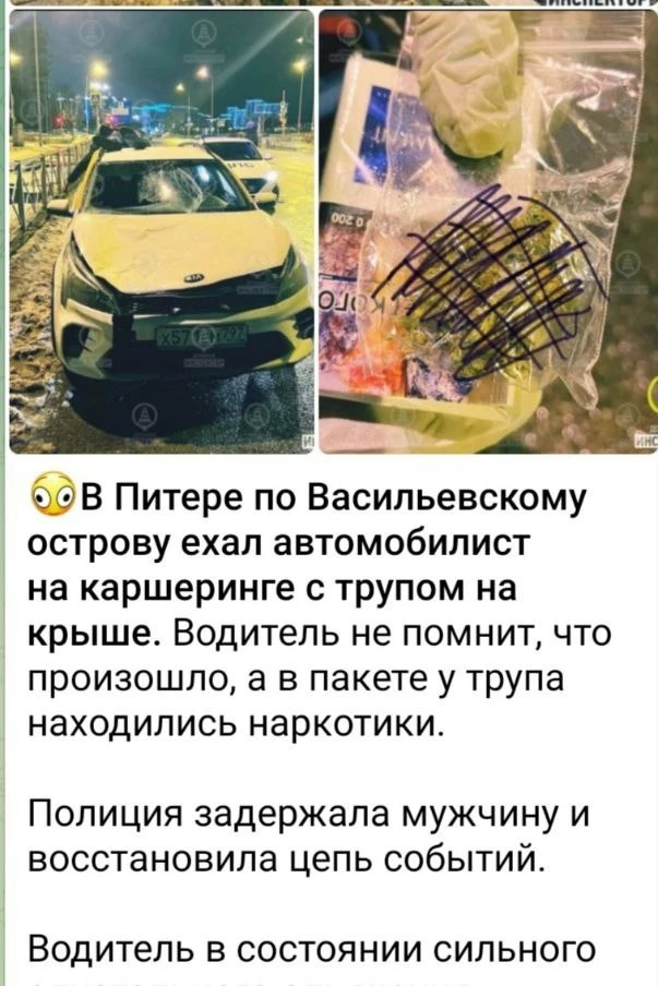 Изображение 1 к публикации «Картавых Александр»