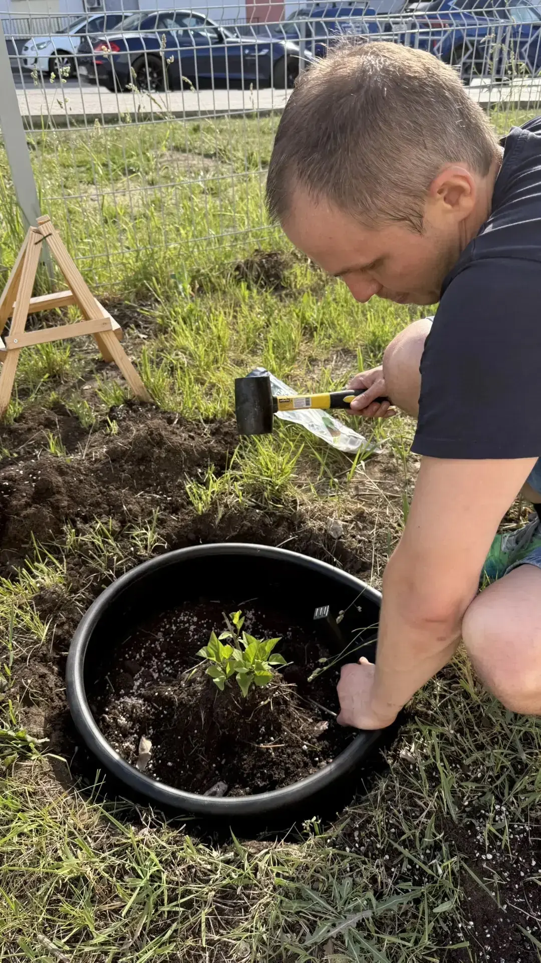 🌿 Школьная Аллея Победы: память живёт! 🌿  Год назад мы вместе с ребятами и родителями активистами вы