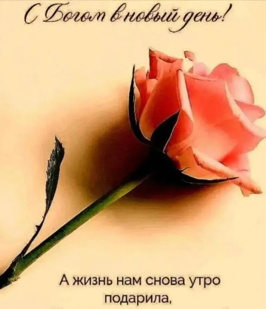 Доброго, прекрасного, чудесного,  великолепного дня, дорогие, счастливые, любимые, неза...