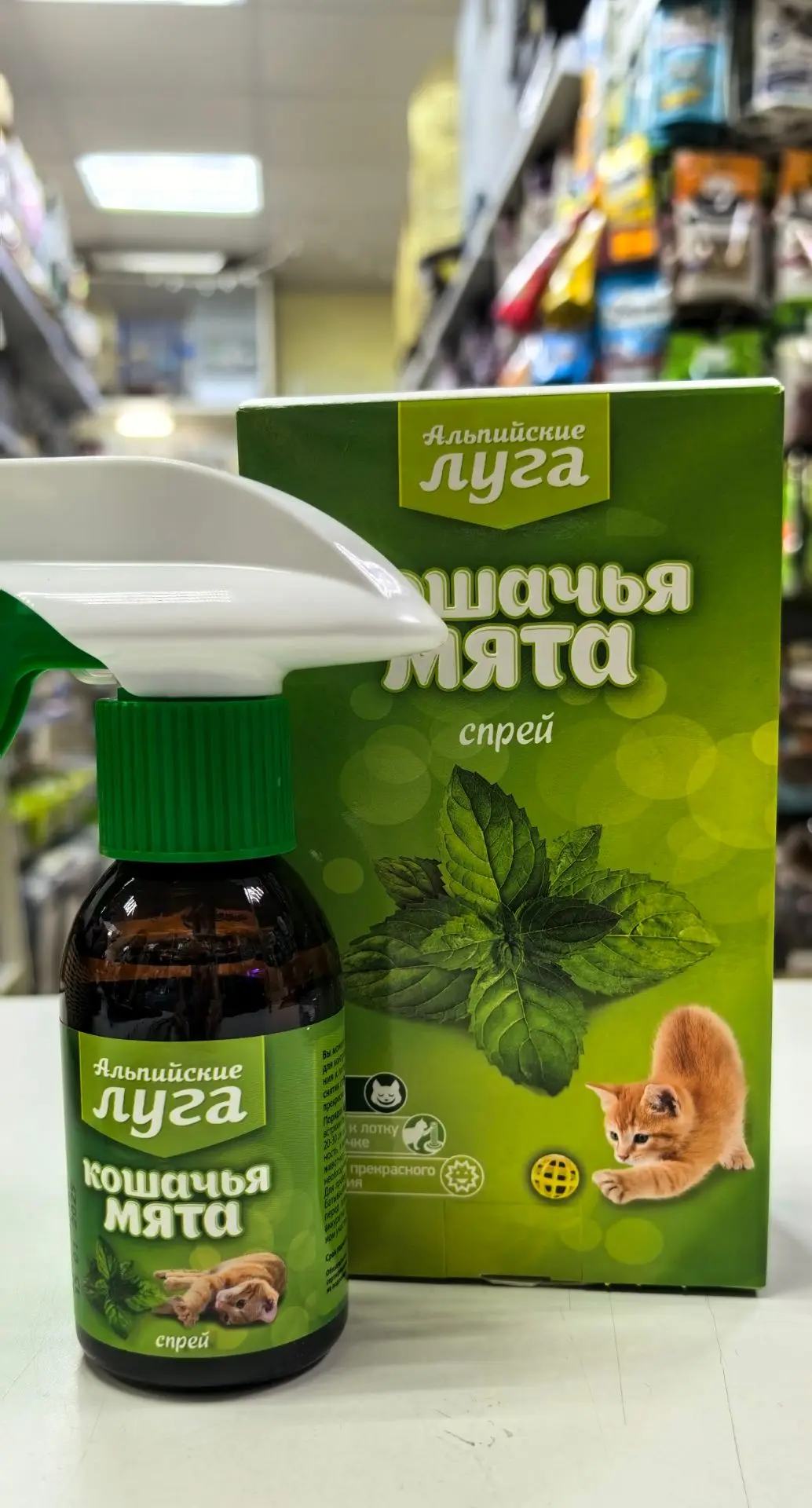 Полезна ли кошачья мята для кошек