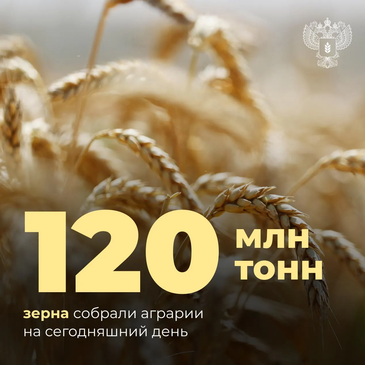Какой урожай собрали в этом году