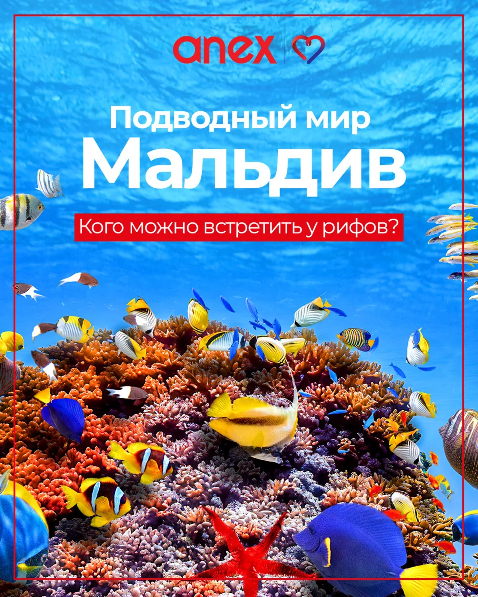 Кто сказал, что на Мальдивах скучно? 😏