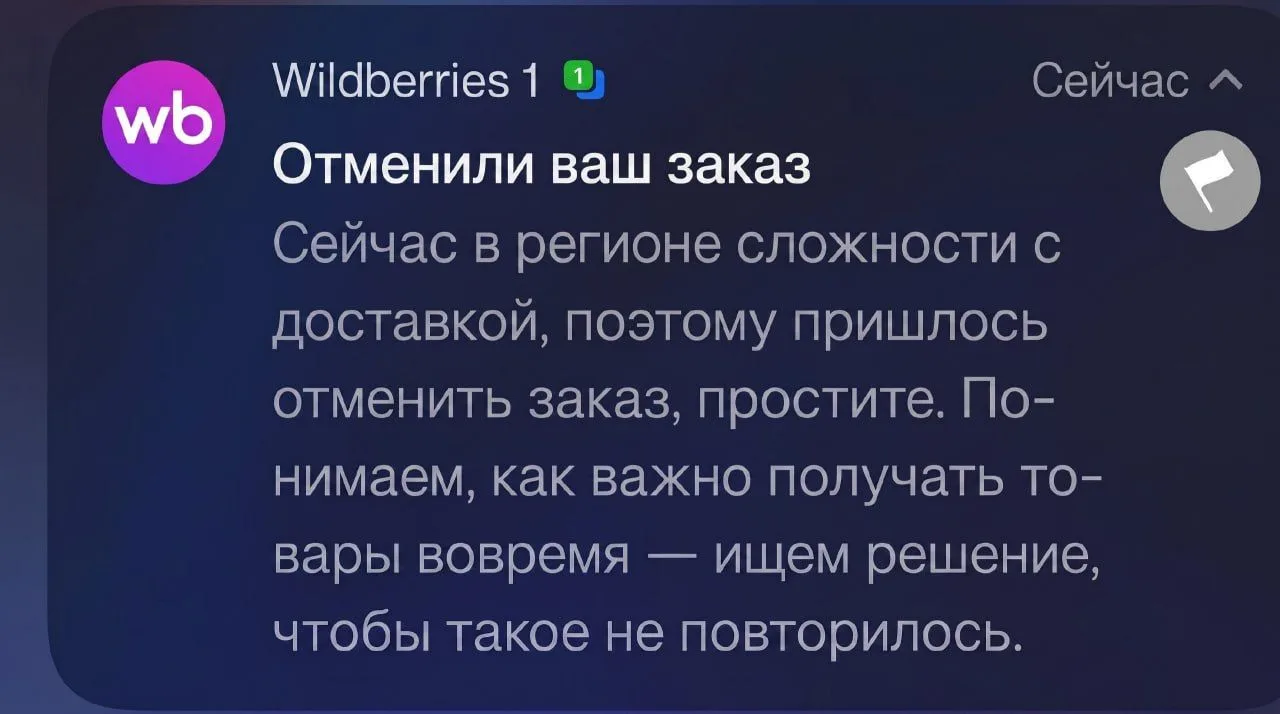 Wildberries начали ОТМЕНЯТЬ ЗАКАЗЫ в России — СМИ пишут, что это связано с топливным кр...
