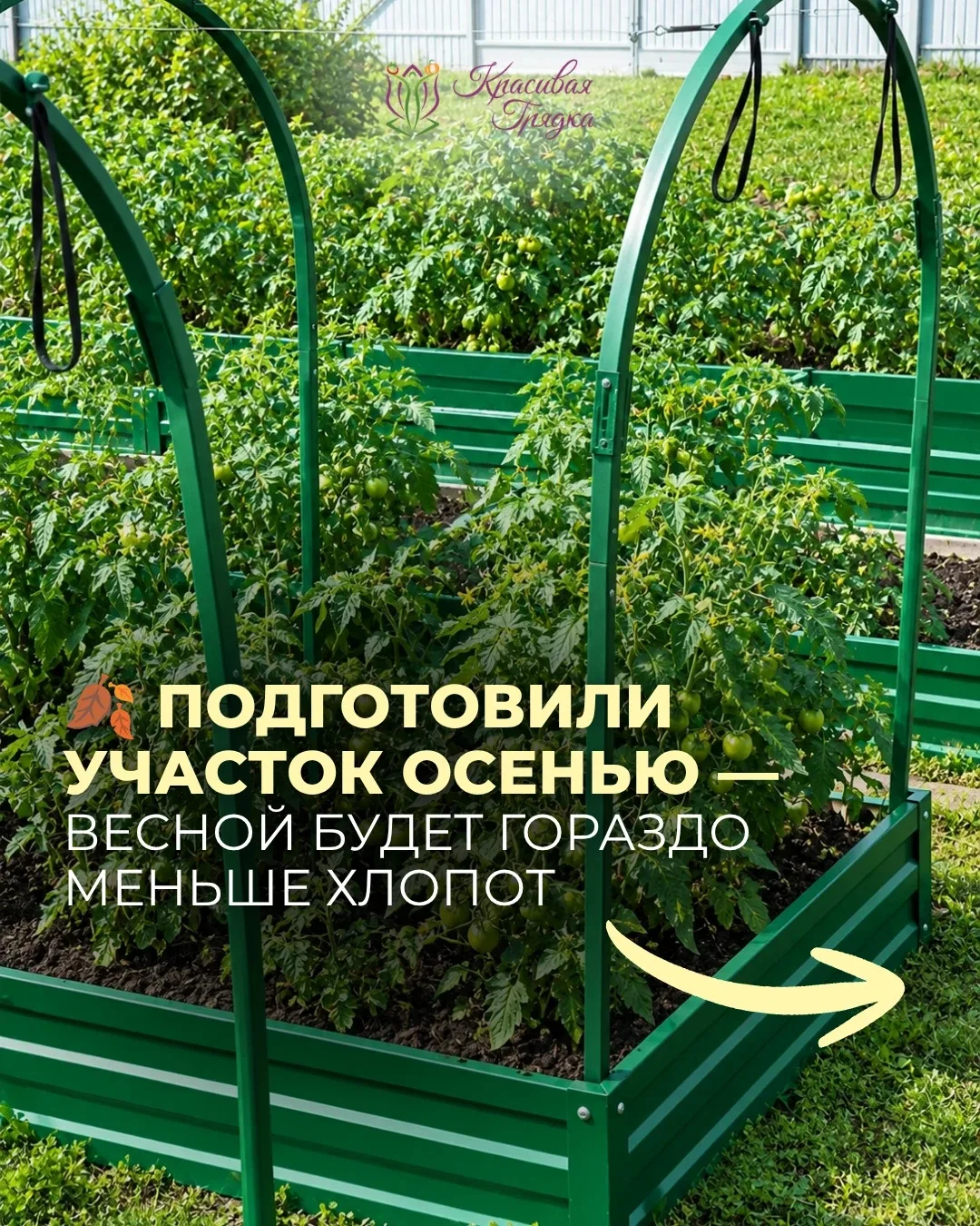 Осень — отличное время для того, чтобы взять в руки дела на даче и заранее подготовить ...