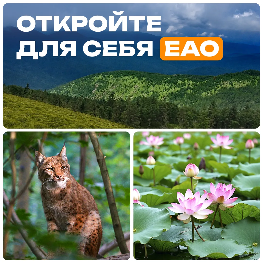 Еврейская автономная область — это не про шумные города и плотный график. Это про более...