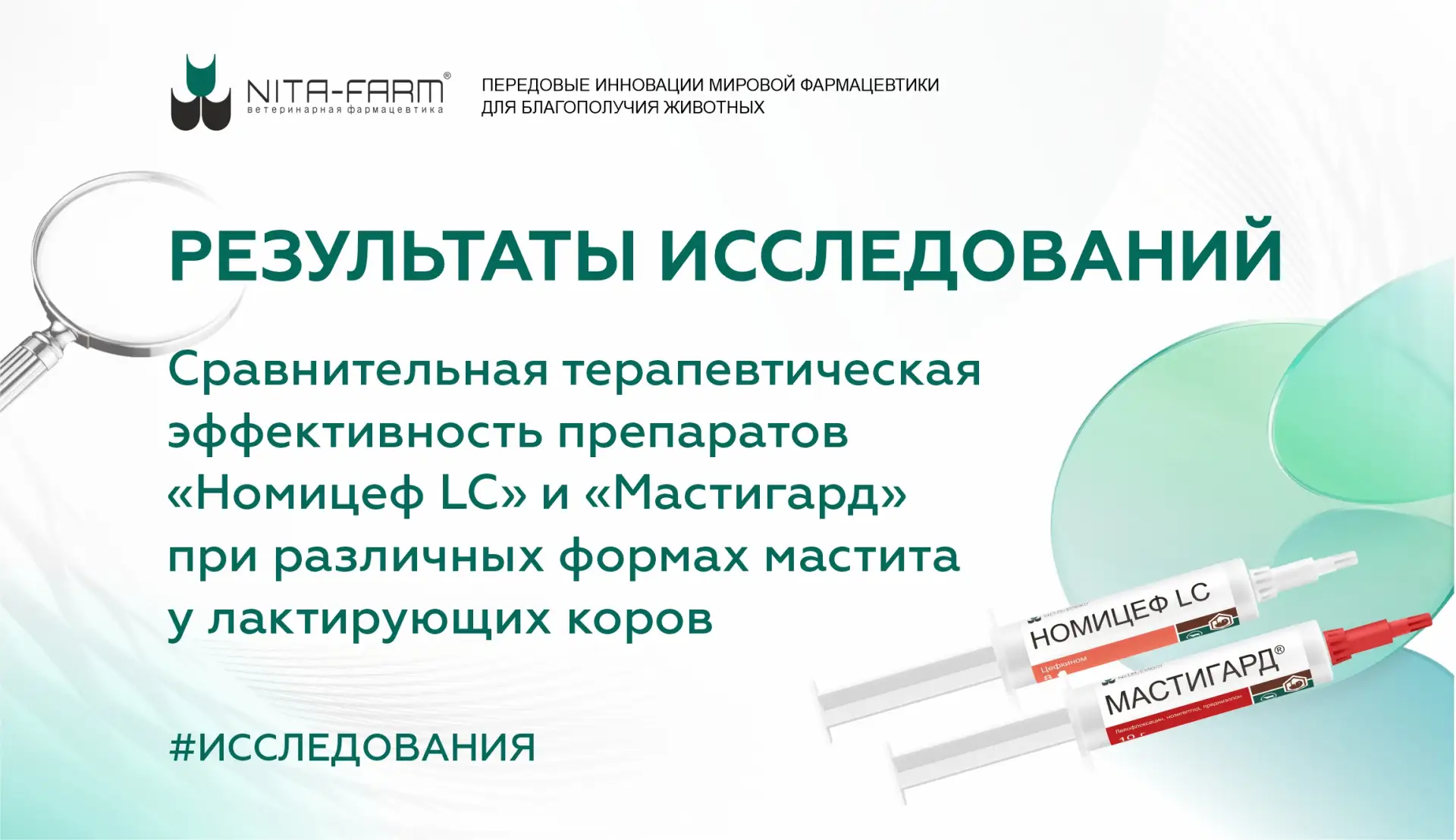 Эффективный подход к лечению маститов у КРС