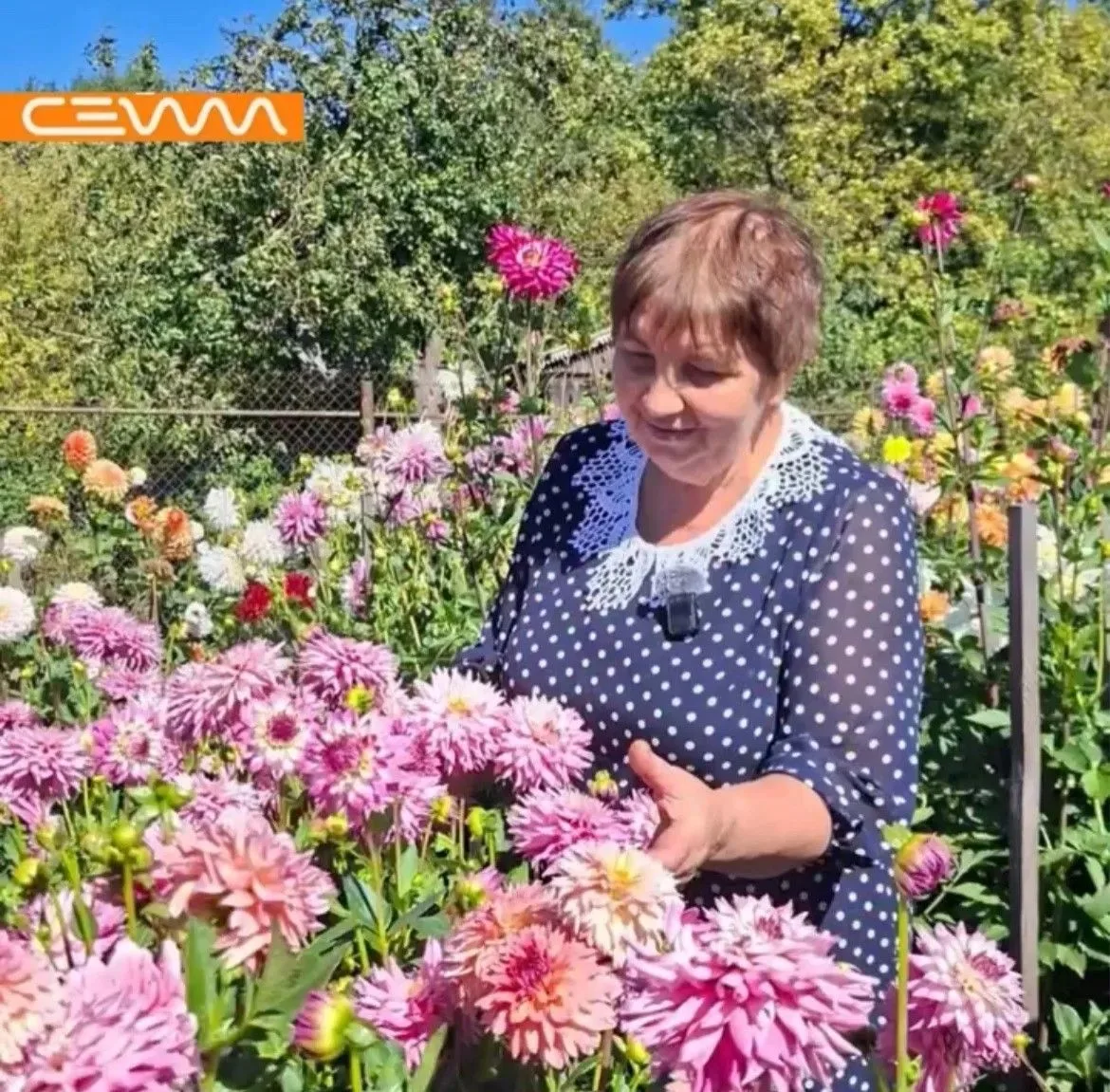 И все-таки Дмитриев — лучший город Земли 😍