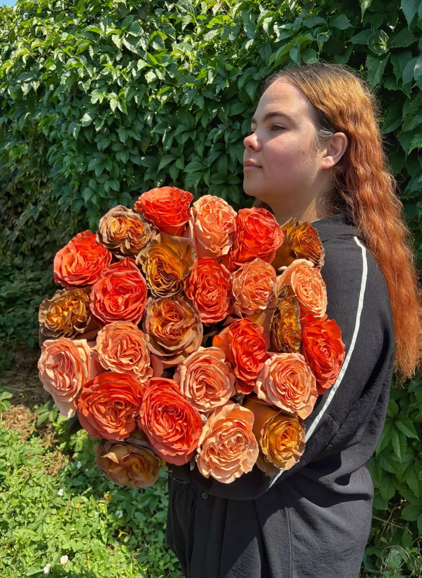 Шикарная роза в наличии 🧡💛🤎