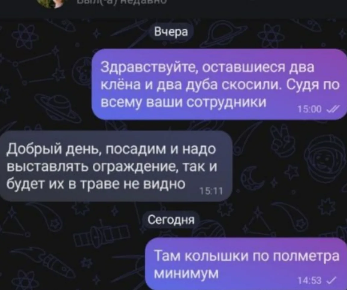 😡 Озеленение по-ковровски. Или "еще посадим!".

На участке, где сама администрация настаивала на по