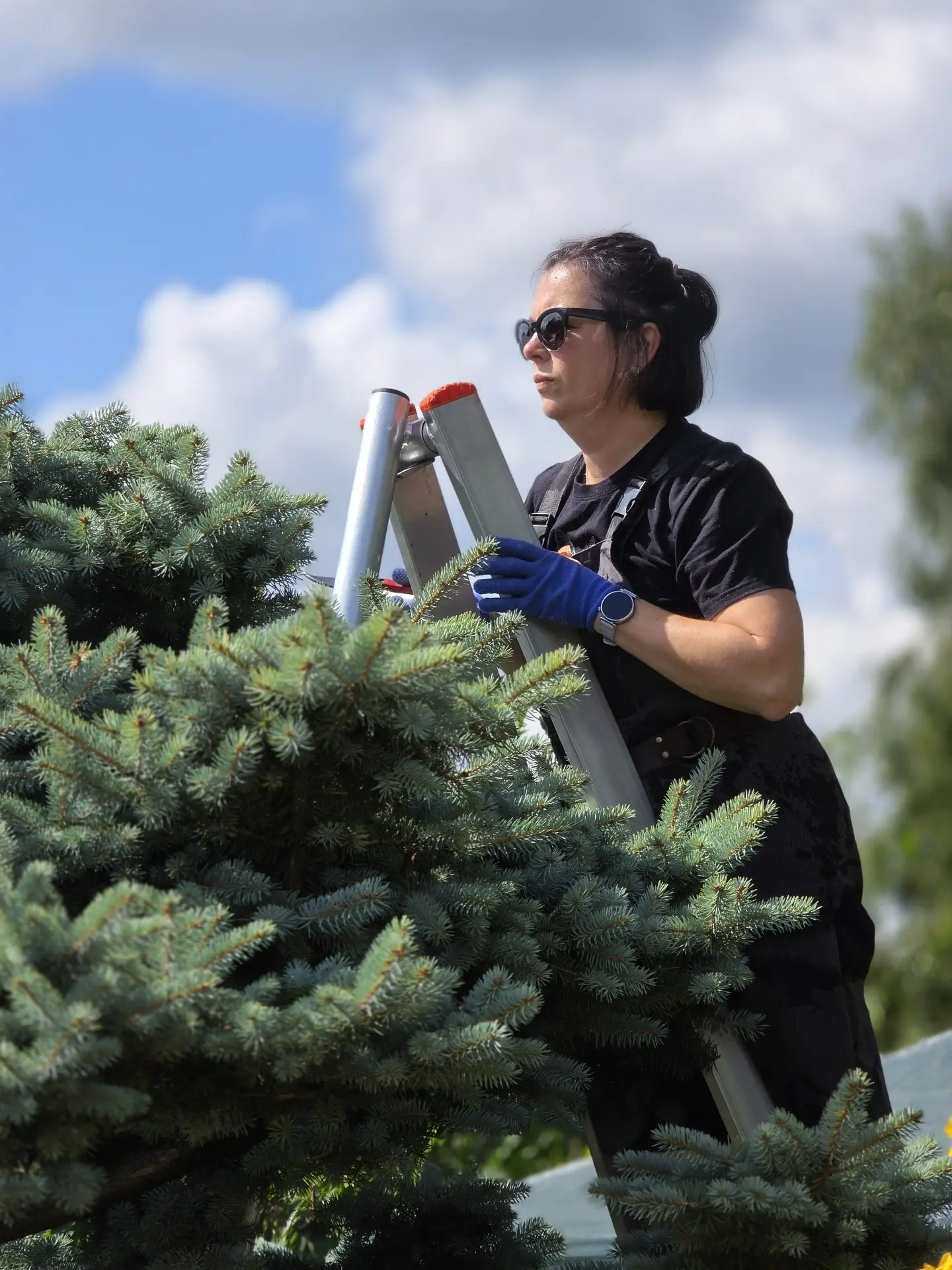 Работаем сегодня с девушками в Подрезково: начало ✂️🌲🌳