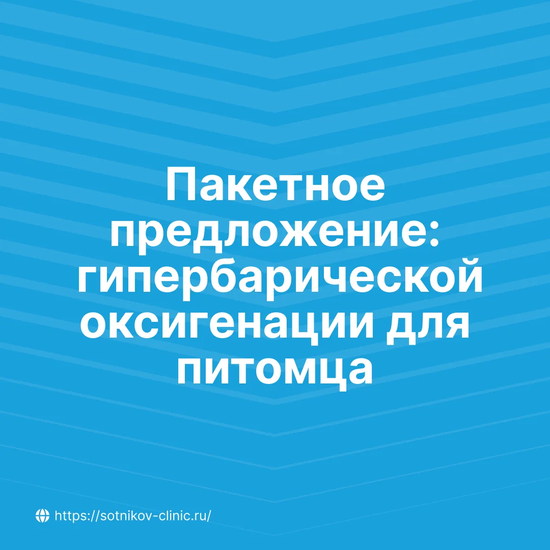 Стоимость процедур — в карточках. Мы собрали пакетные предложения, чтобы курс лечения б...