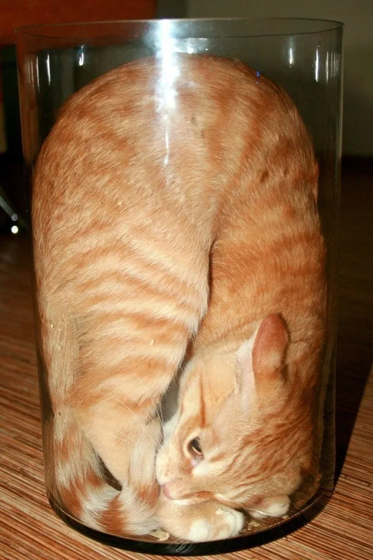 Когда в доме нет коробочки📦