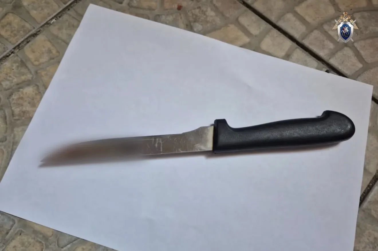 🔪Жительница Ямальского района подозревается в покушении на убийство знакомого
