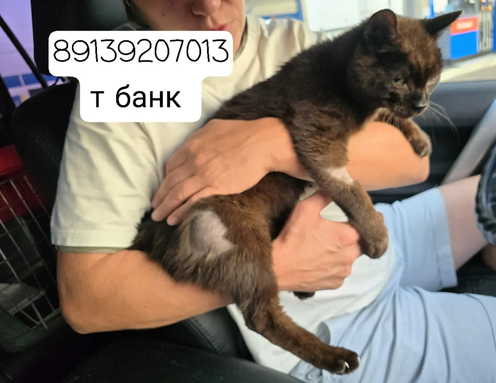 Гарик вновь просит вас помочь ему!