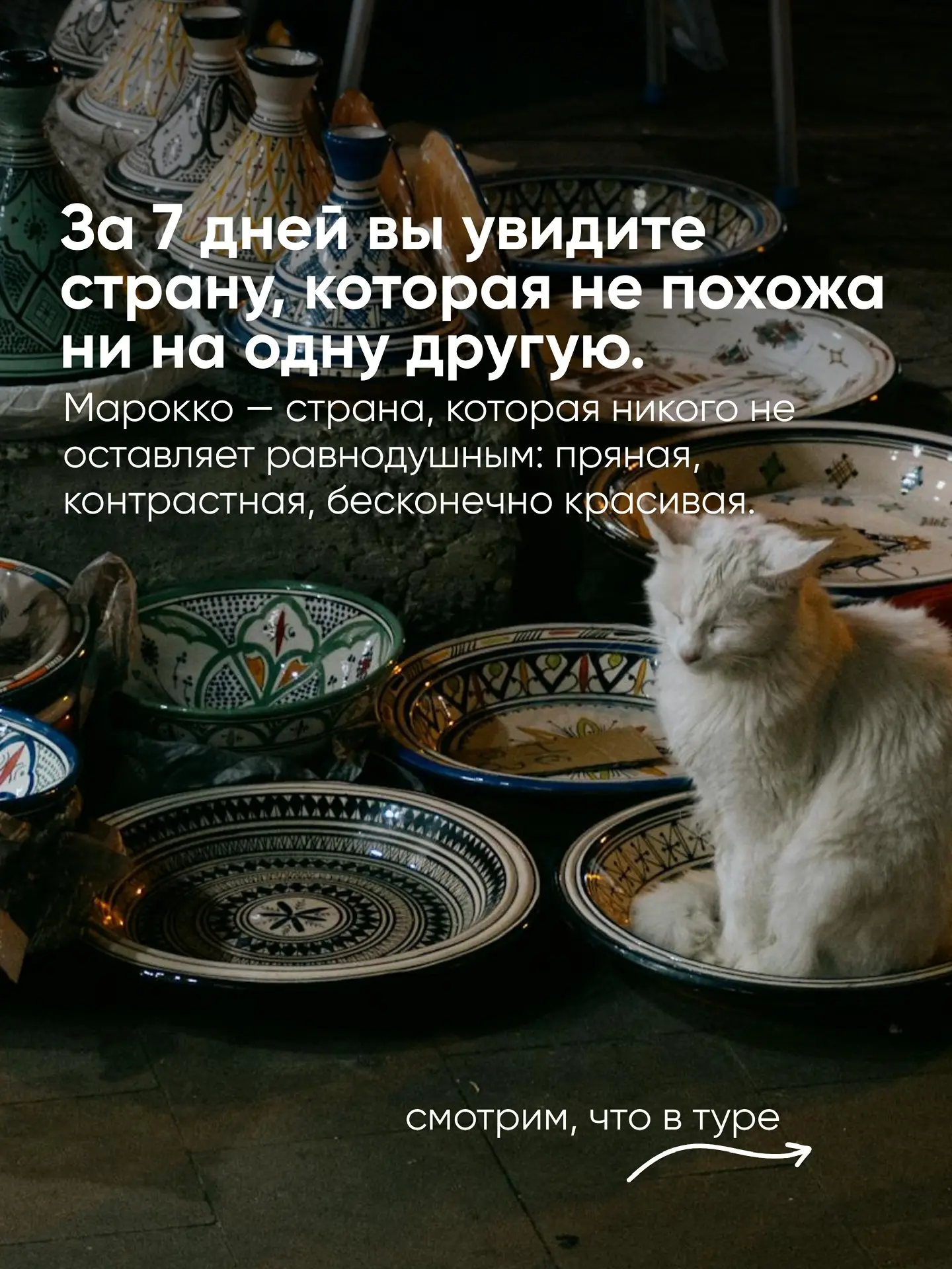Тур в Марокко с прямым перелетом за 
141 000₽ за человека😍

Марокко - мир ярких красок, ароматов во