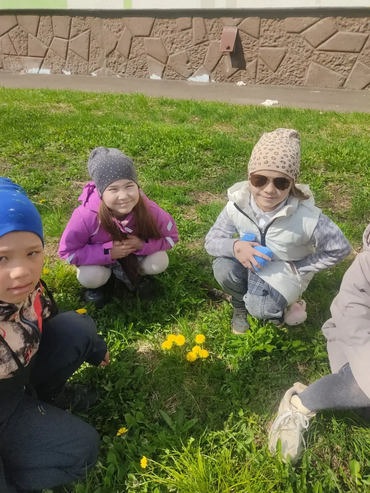 Сегодня, 13 мая, мы отмечаем Всемирный день одуванчика! 🌼
