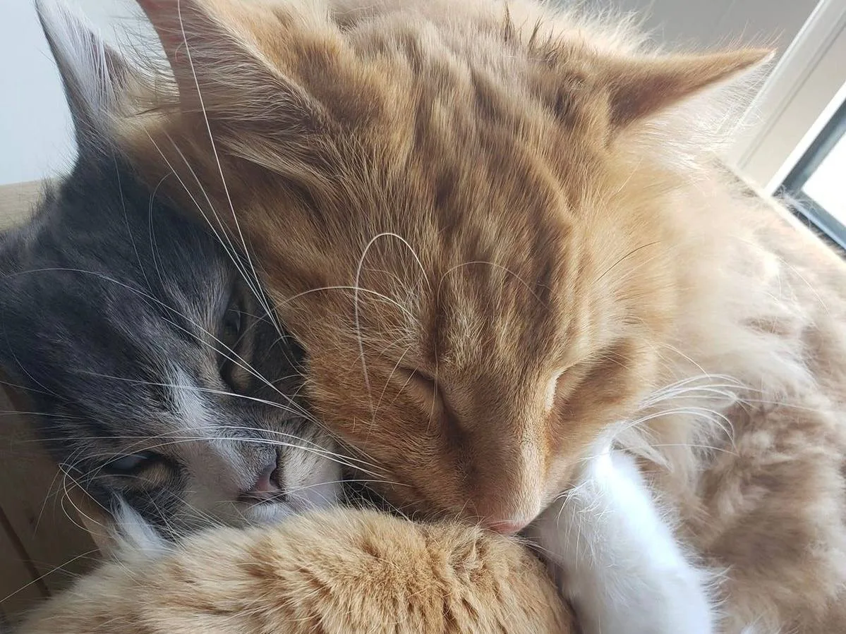 🥰 Доброе утро, друзья!