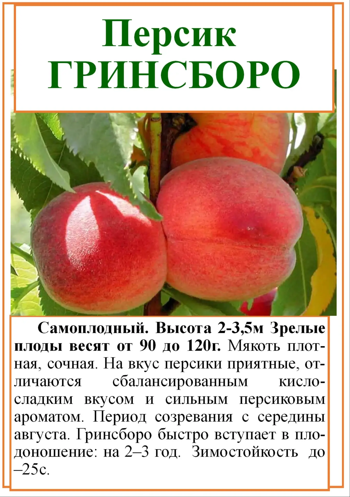 с.Ягодное, Производственный проезд 15/18